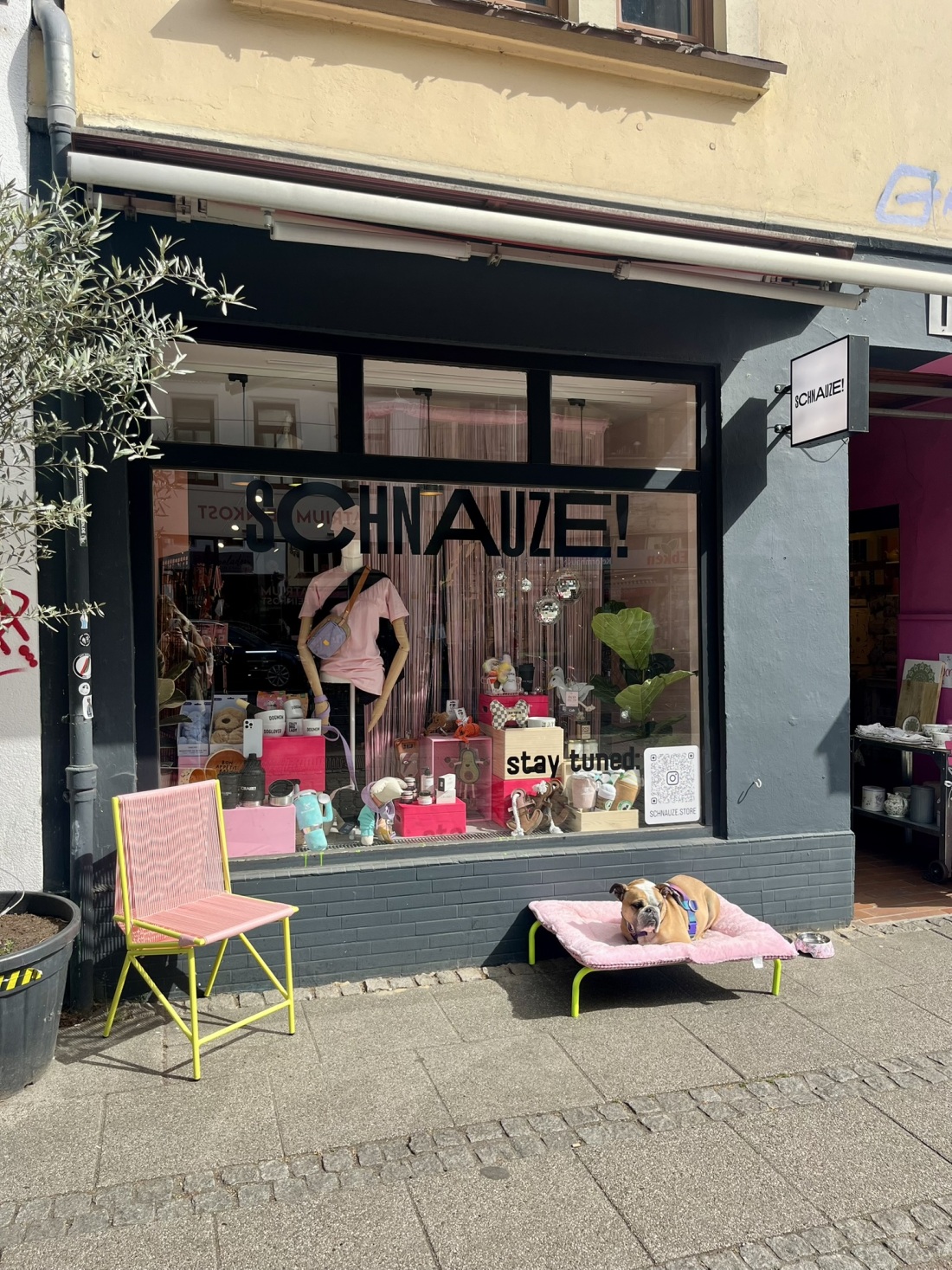 Die Hunderbäckerei Schnauze im Bremer Viertel