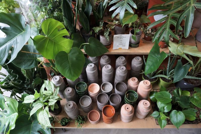 Regal mit Keramiktöpfen und Grünpflanzen
