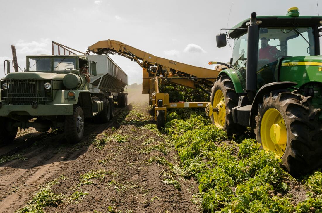 Traktor erntet Feld ab