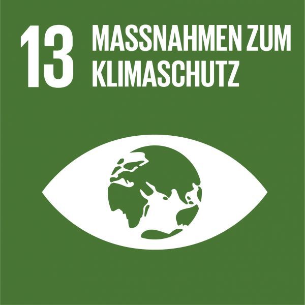 Icon Nachhaltigkeitsziel CLIMATE ACTION