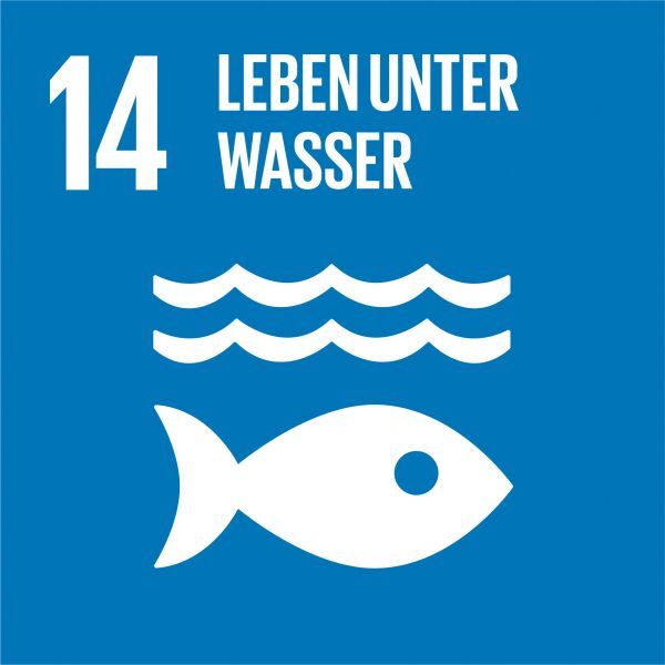 Icon Nachhaltigkeitsziel LIFE BELOW WATER