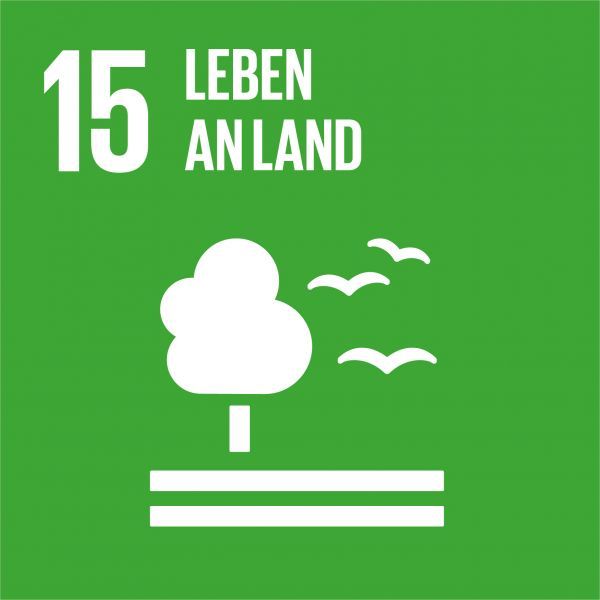 Icon Nachhaltigkeitsziel LIFE ON LAND