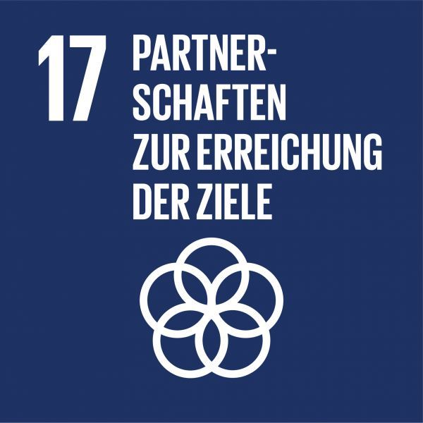 Icon Nachhaltigkeitsziel PARTNERSHIPS FOR THE GOALS