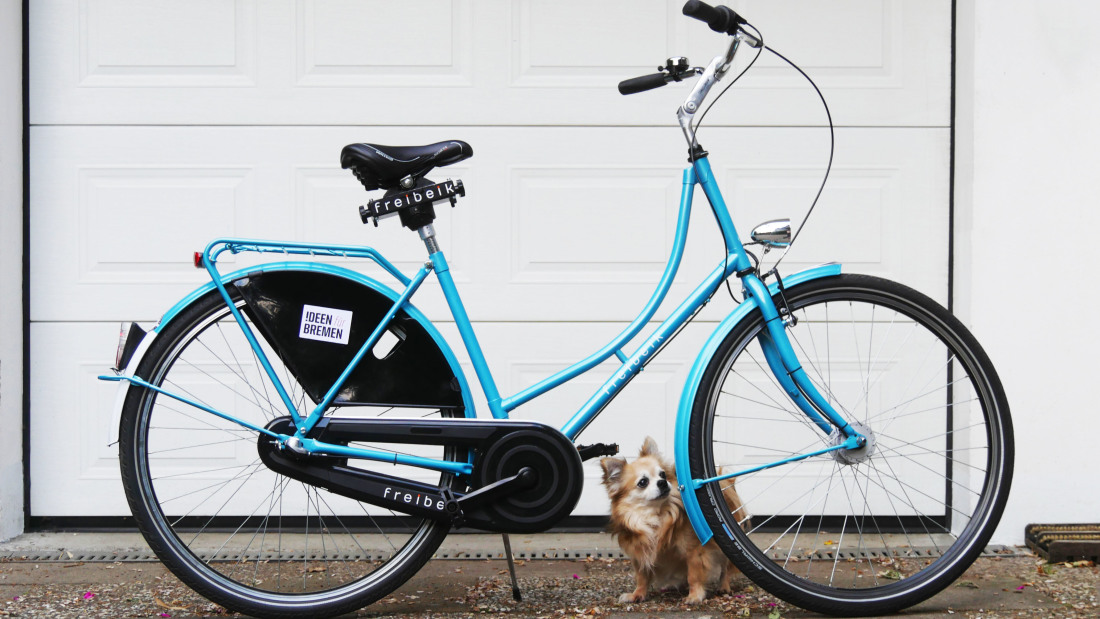 Ein Fahrrad von Freibeik und ein kleiner Hund